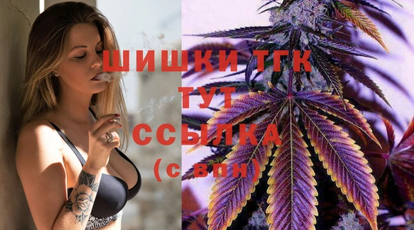 соль курить ск Бородино