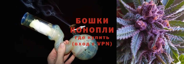 дурь Бронницы