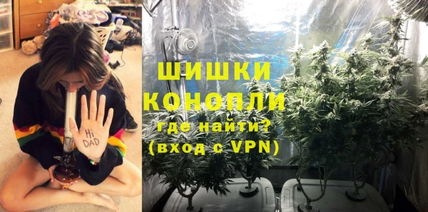соль курить ск Бородино