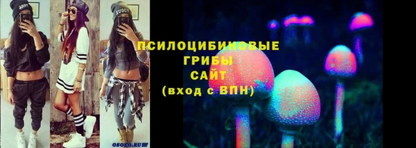 соль курить ск Бородино
