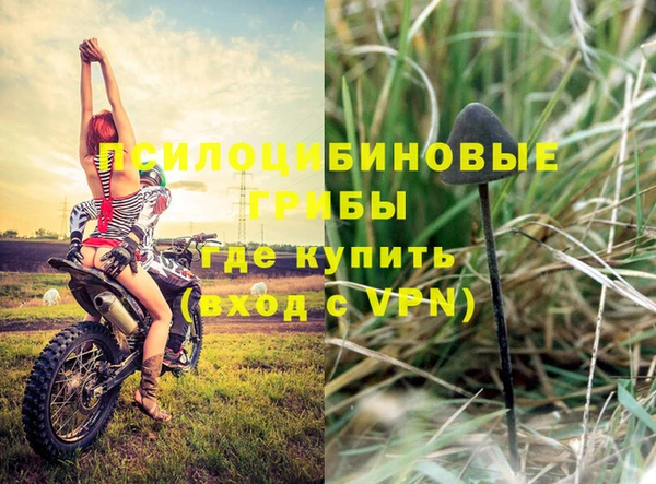дурь Бронницы