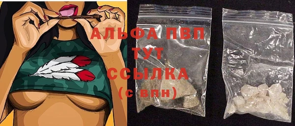 сатива Верея