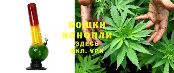 дурь Бронницы