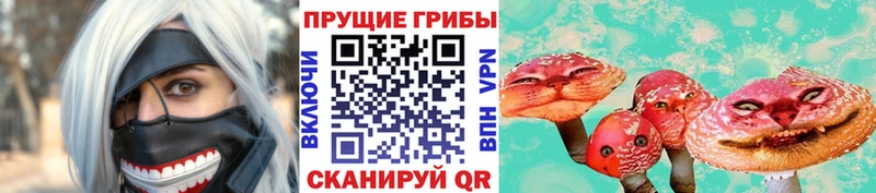 Галлюциногенные грибы прущие грибы  где найти наркотики  Норильск 